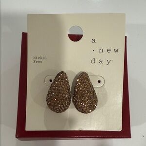 A New Day Brown Teardrop Earrings